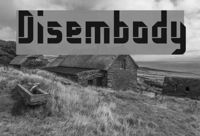 Disembody Example 3