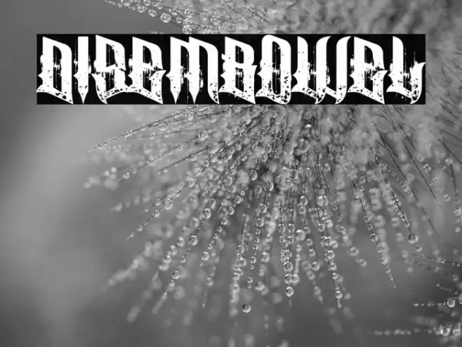 Disembowel Font examples