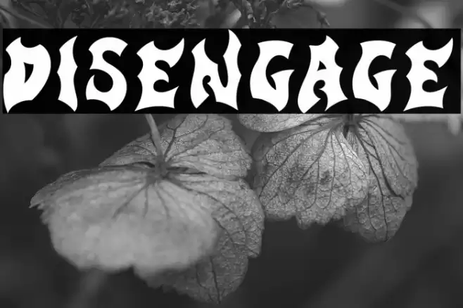 Disengage Polices examples