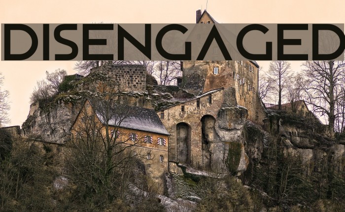 Disengaged Font examples
