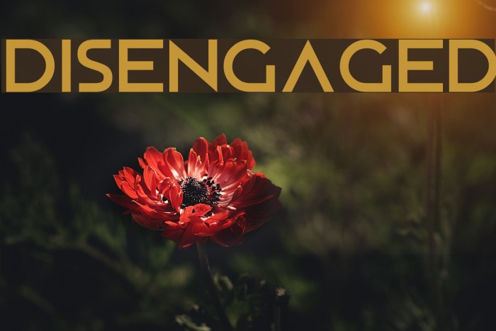 Disengaged Font examples