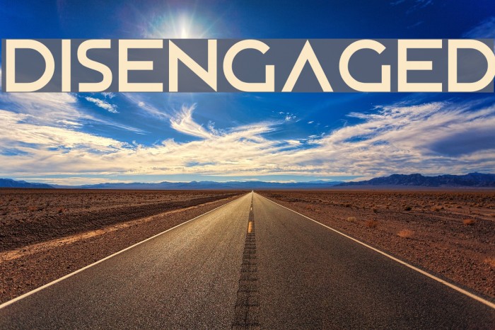 Disengaged Font examples