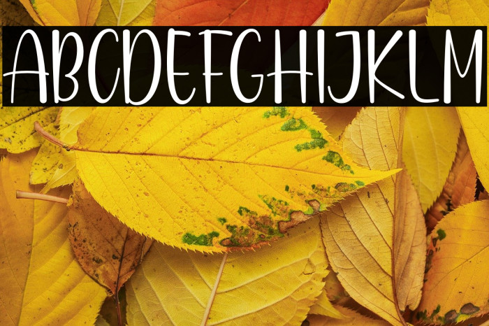 Disforia Inersia Example 1