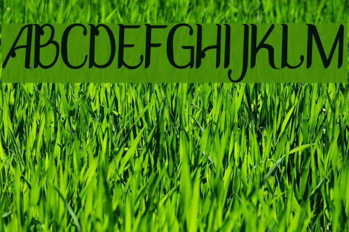 DisguiseDisplayRegular Font examples