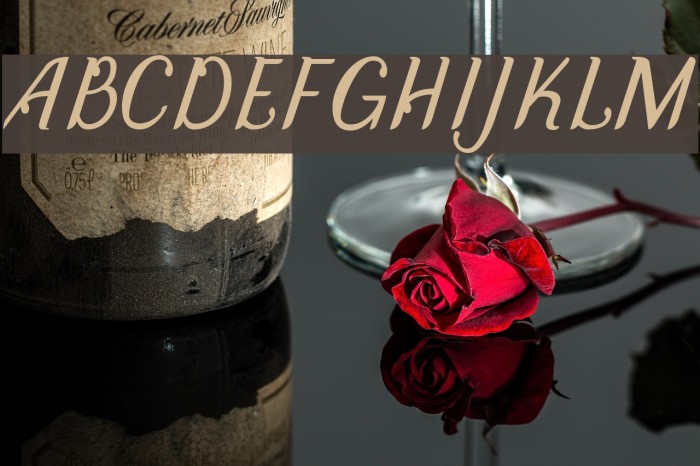 DisguiseDisplaySans-Italic Example 2