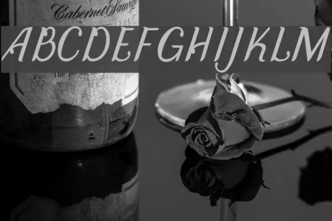 DisguiseDisplaySans-Italic Font examples