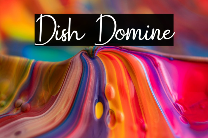 Dish Domine Example 1