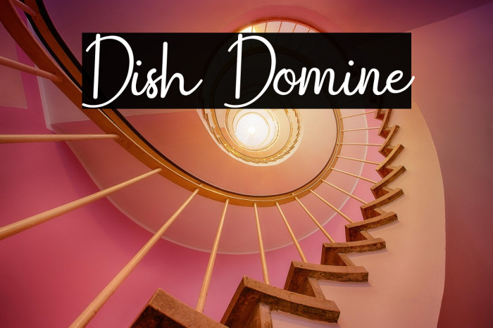 Dish Domine Example 2