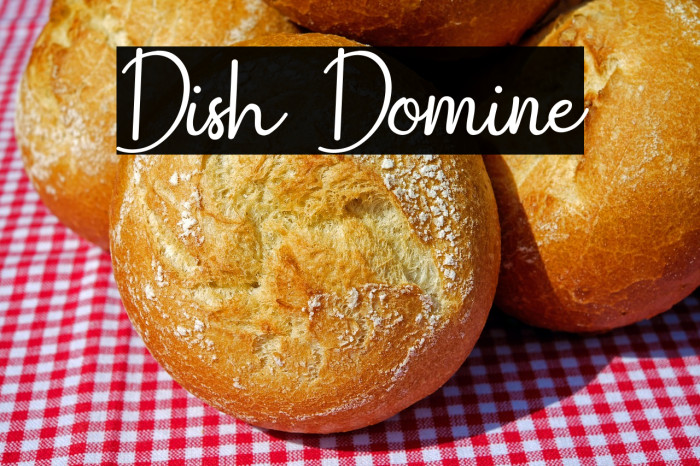 Dish Domine Example 3