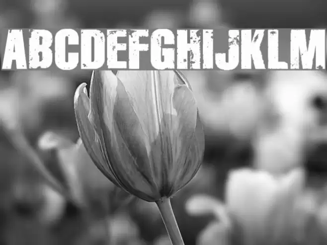 Disintegration Font examples