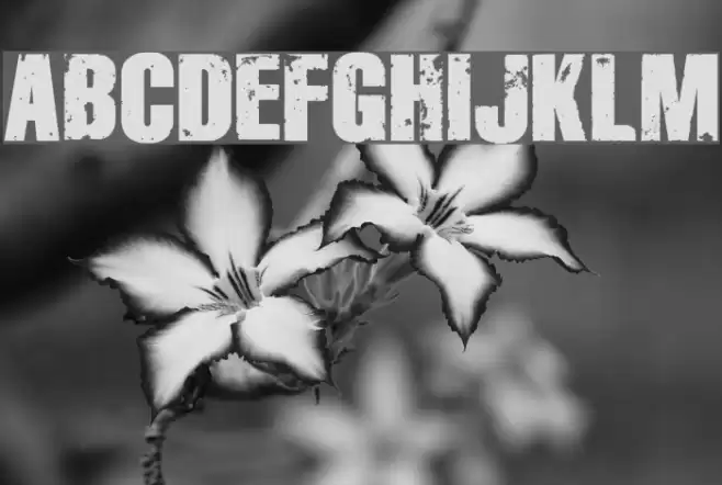 Disintegration Font examples