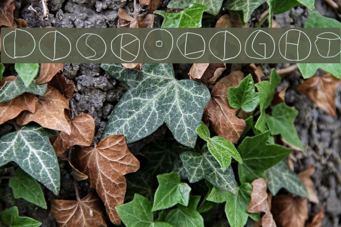 DiskO-Light Font examples