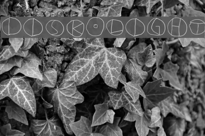 DiskO-Light Example 1