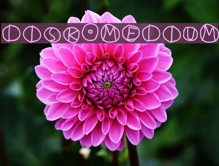 DiskO-Medium Example 3