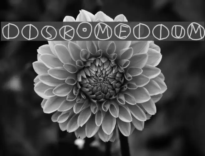 DiskO-Medium Font examples