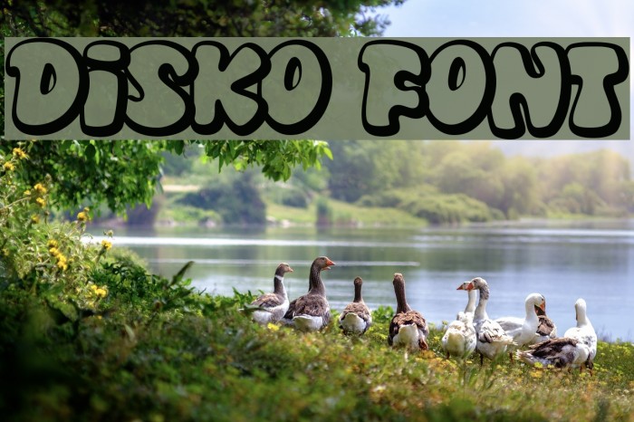 Disko Font examples