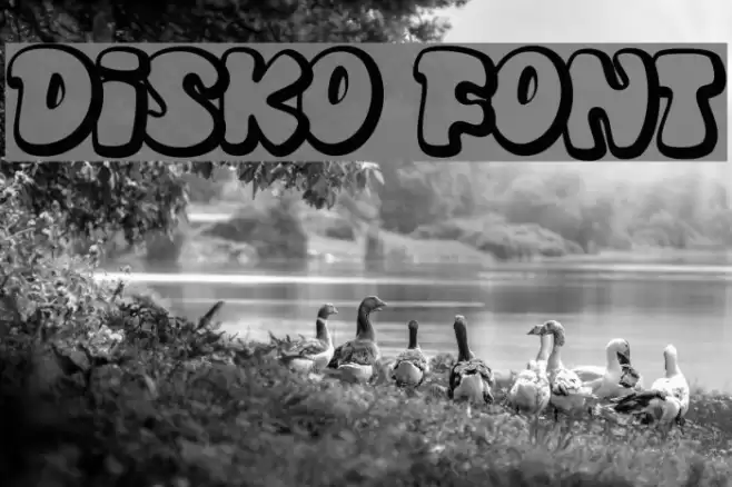 Disko Font examples