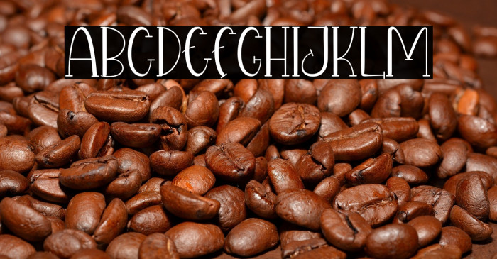 Disneb Club Example 2