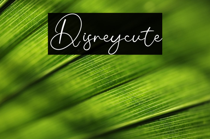 Disneycute Example 1