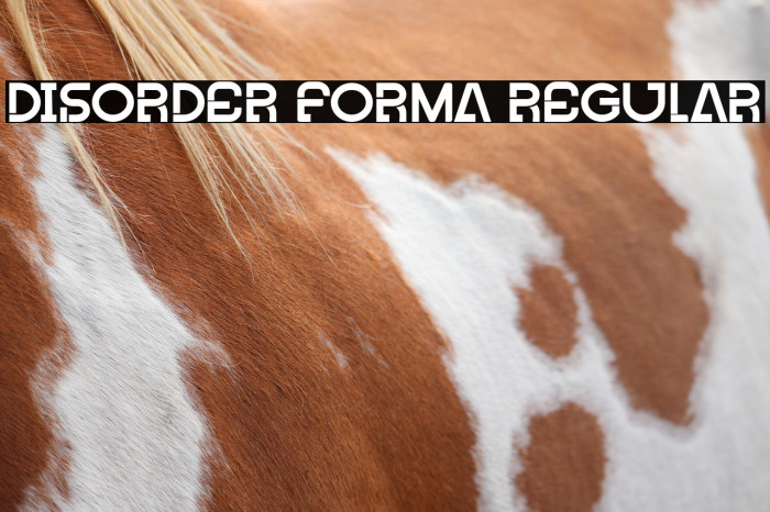 Disorder Forma Regular Example 2