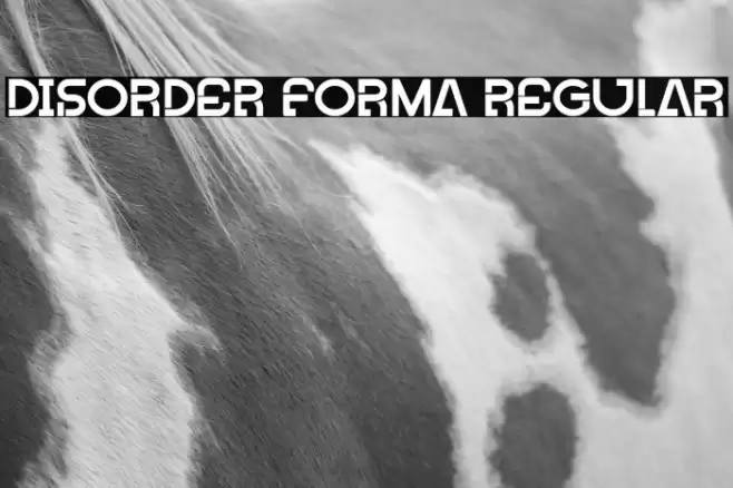 Disorder Forma Regular Font examples