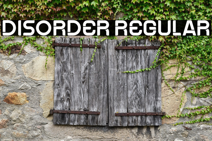 Disorder Regular Example 2