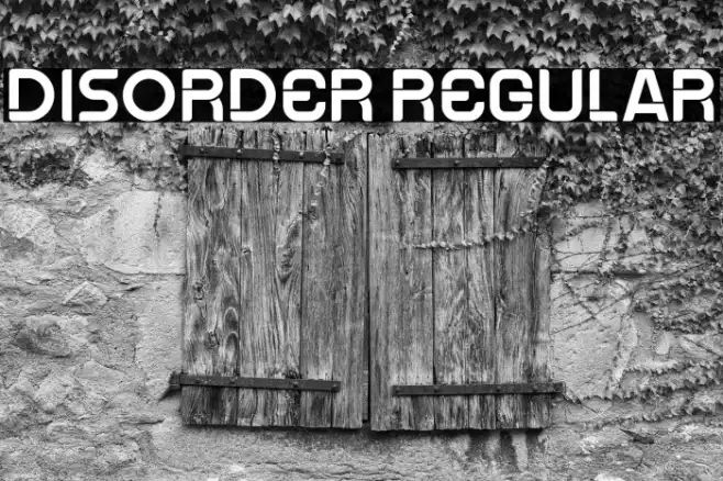 Disorder Regular Example 2