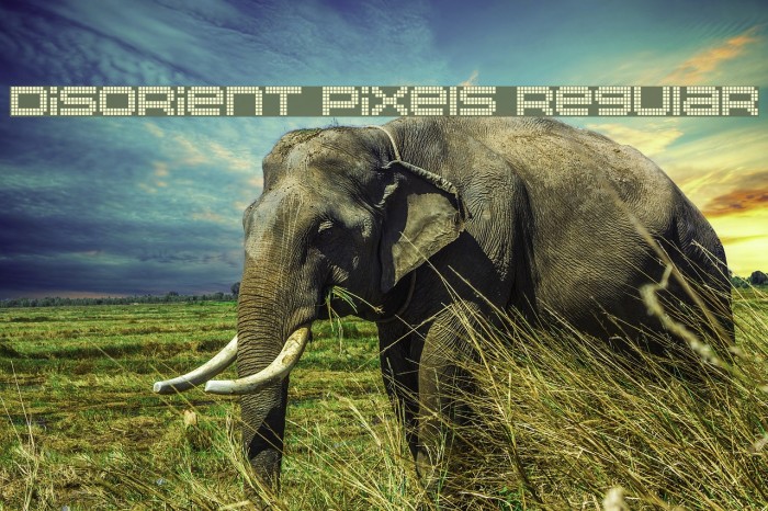Disorient Pixels Regular Font examples