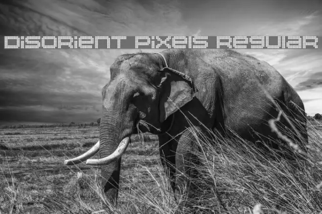 Disorient Pixels Regular Example 2