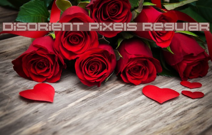 Disorient Pixels Regular Font examples