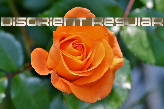 Disorient Regular Font examples
