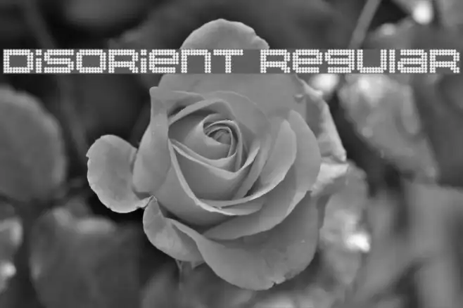 Disorient Regular Example 1