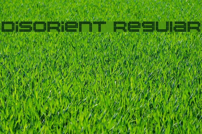 Disorient Regular Font examples