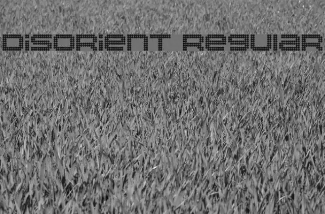 Disorient Regular Example 3