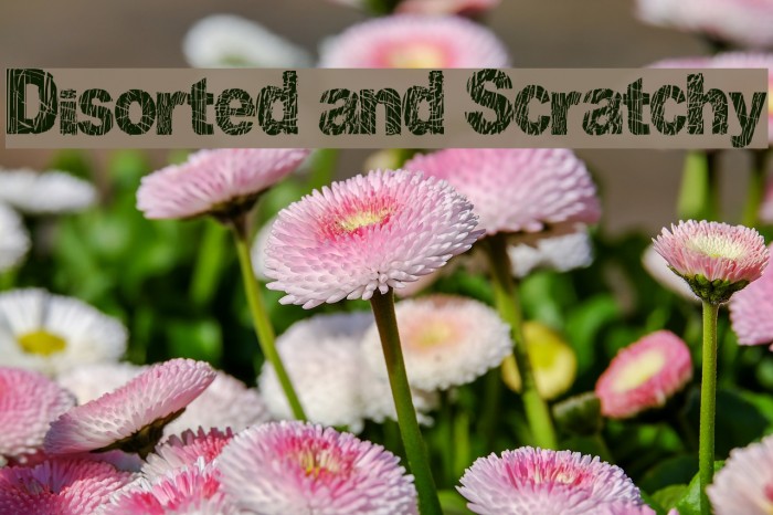 Disorted and Scratchy Font examples