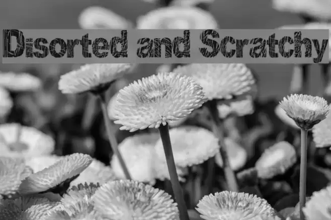 Disorted and Scratchy Font examples