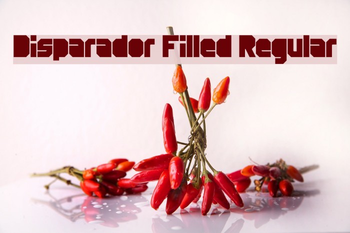 Disparador Filled Regular Font examples