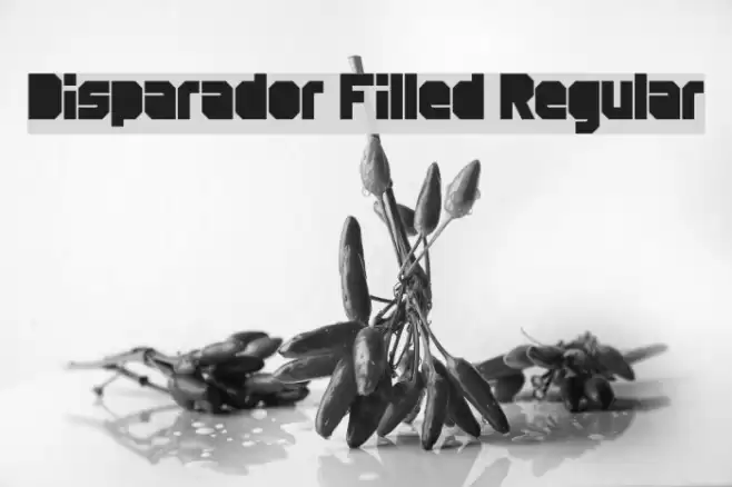 Disparador Filled Regular Font examples