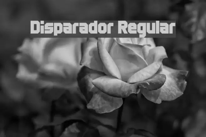 Disparador Regular Font examples