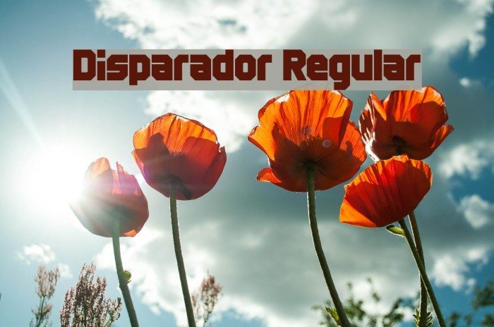 Disparador Regular Font examples