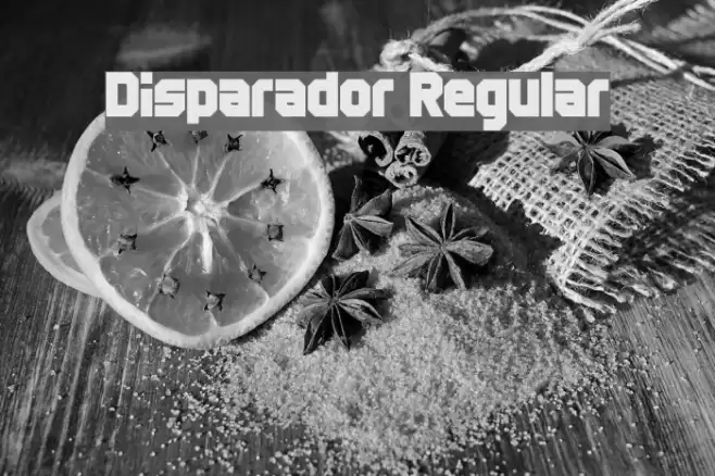Disparador Regular Font examples