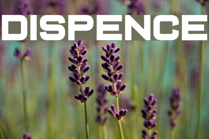 Dispence Font examples