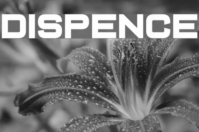 Dispence Font examples