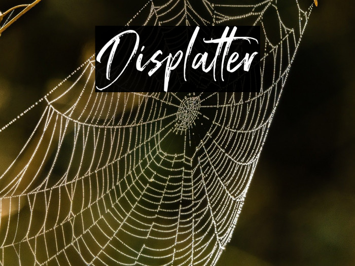 Displatter Example 2