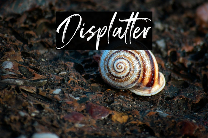 Displatter Example 3