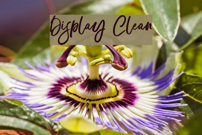 Display Clean Font examples