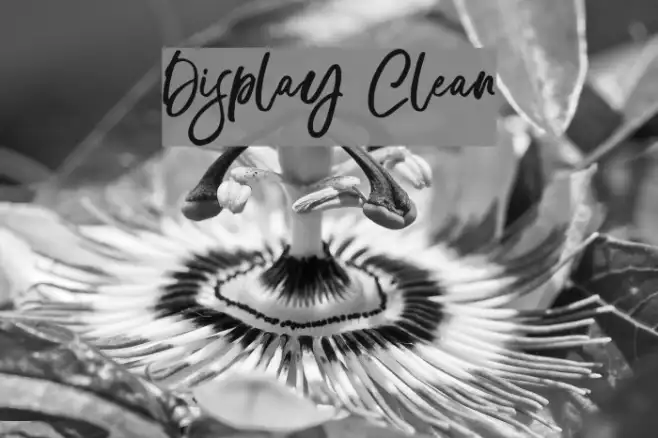 Display Clean Example 2