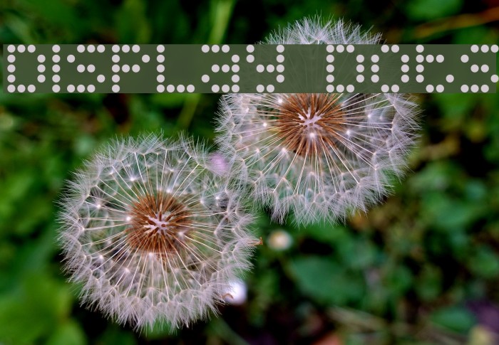 Display Dots Font examples