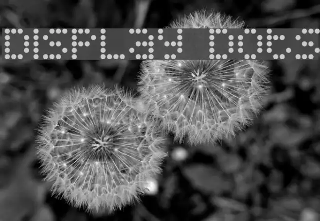 Display Dots Example 1