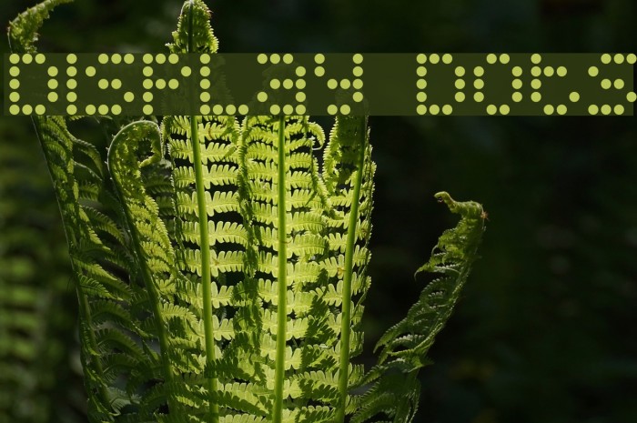 Display Dots Font examples